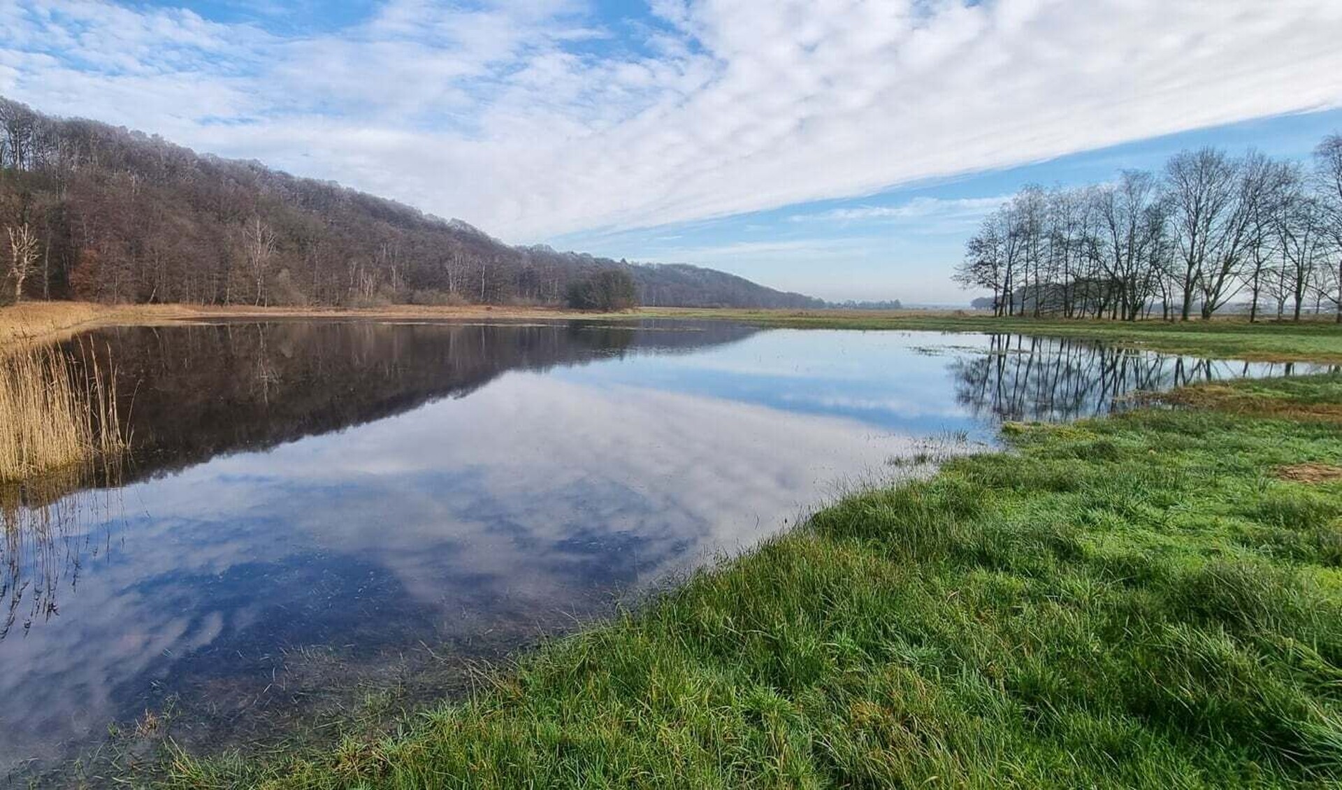 Wandelroute: Plasmolen - Sint-Jansberg - Klein Amerika