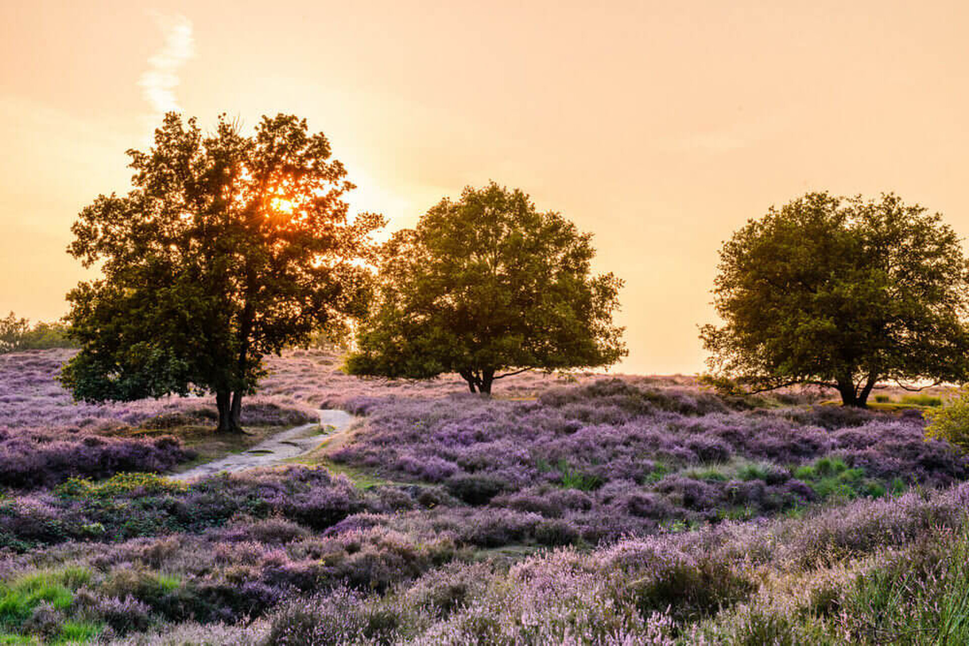 Wandelroute: Mooie plekjes route