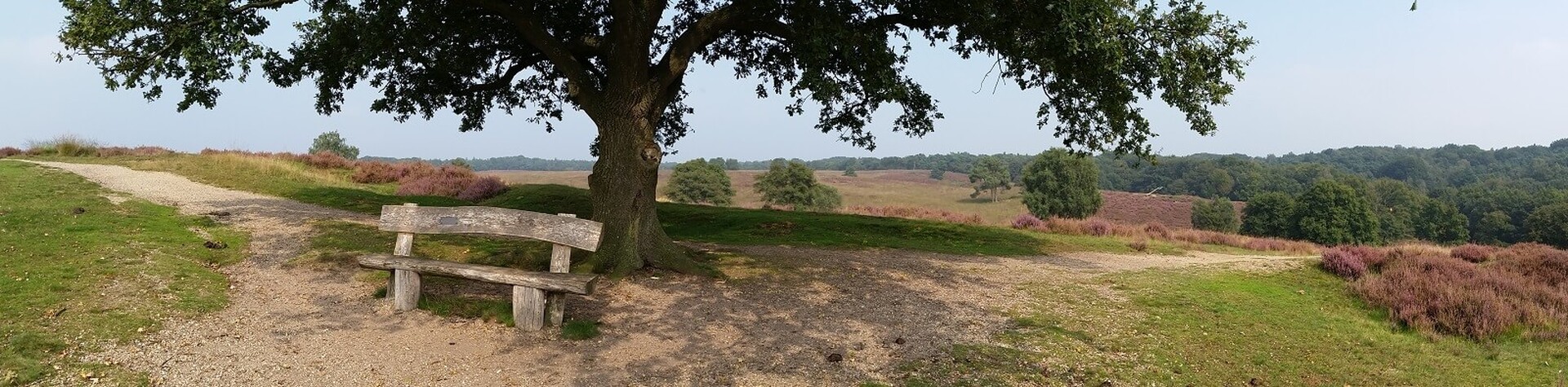 Wandelroute: Schilderachtige route