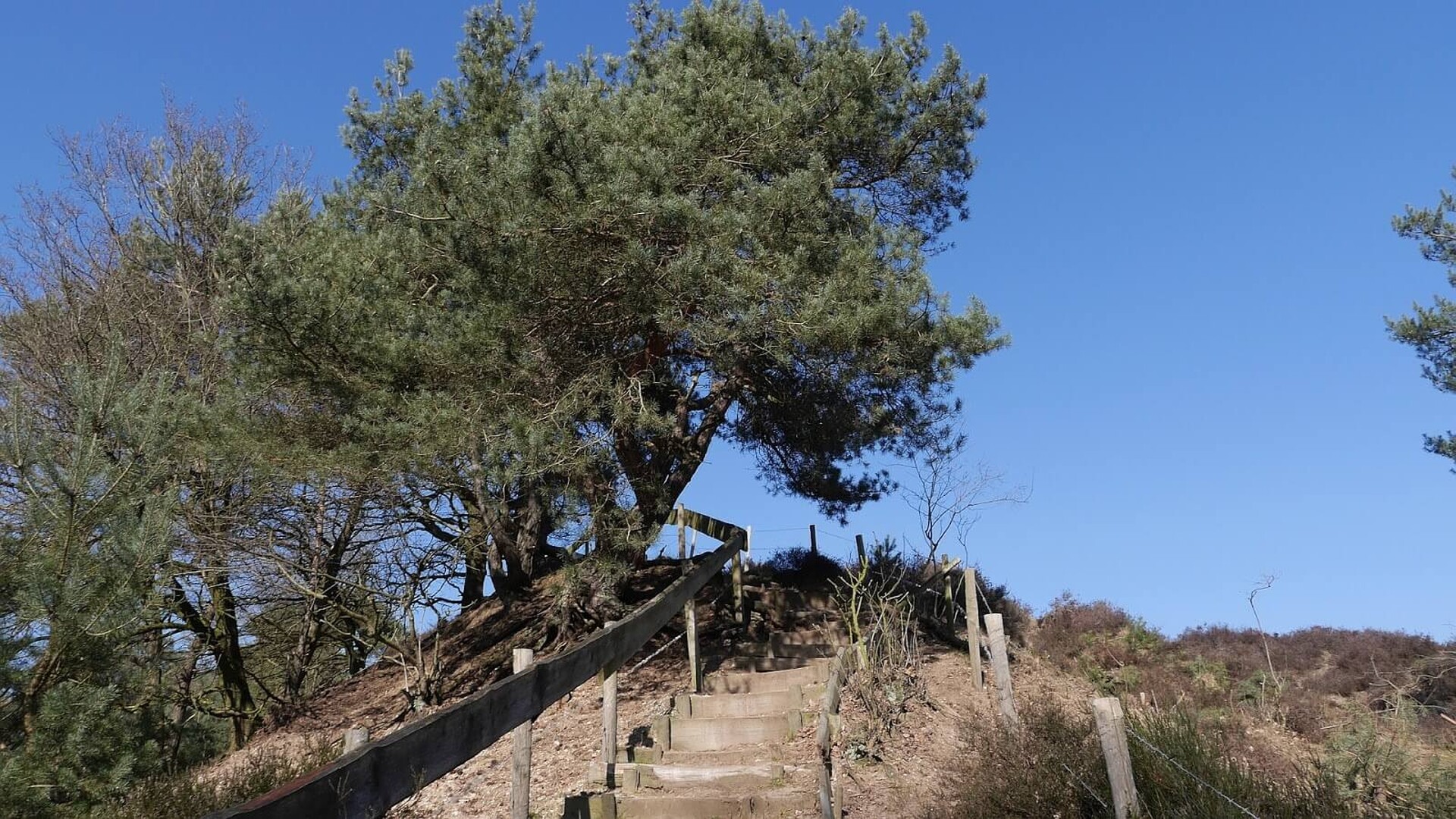 Wandelroute: De 3 schansen route 