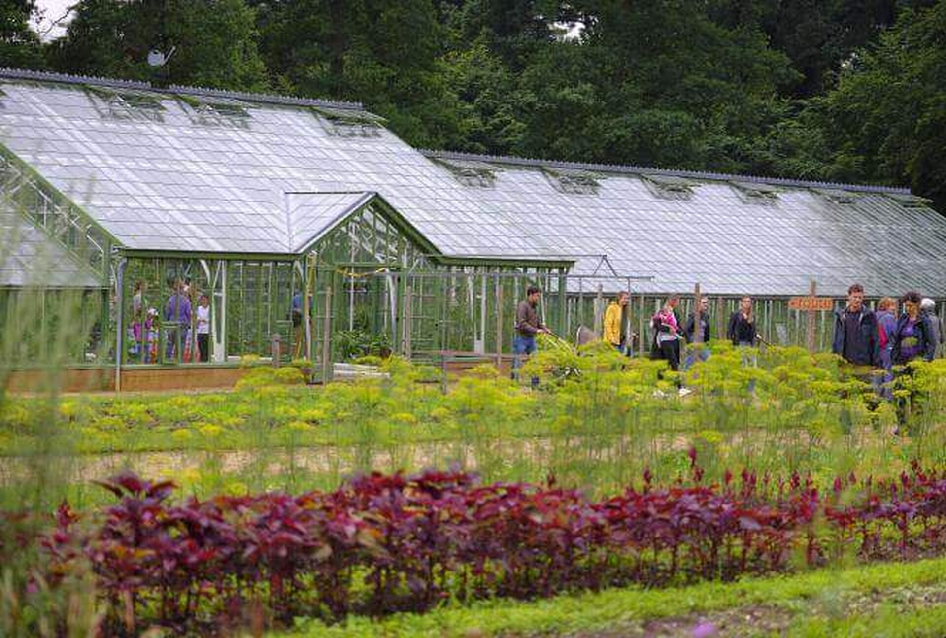 Wandelroute: Rond jachtslot de Mookerheide