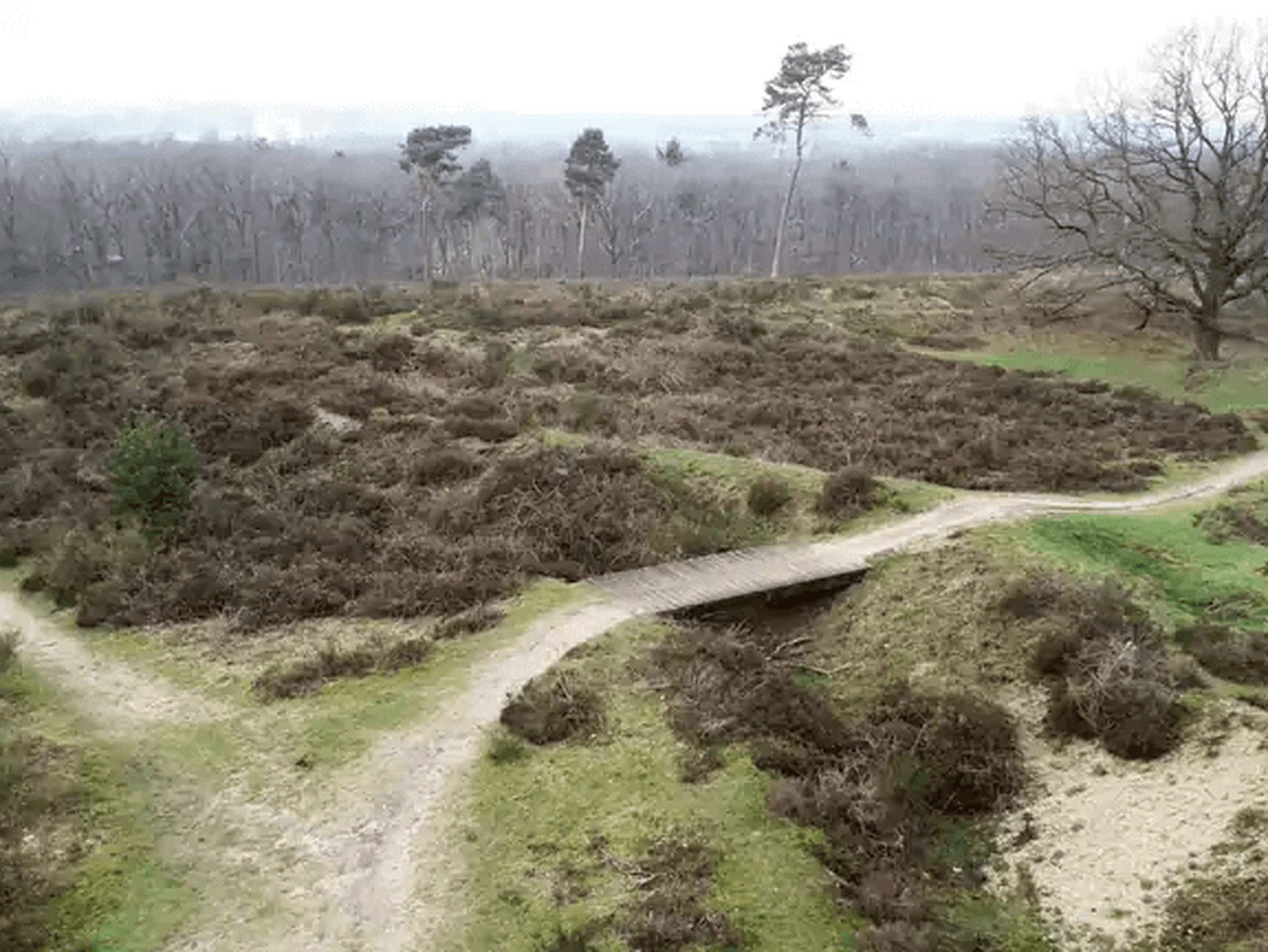 Wandelroute: Jachtslot & Mookerschans