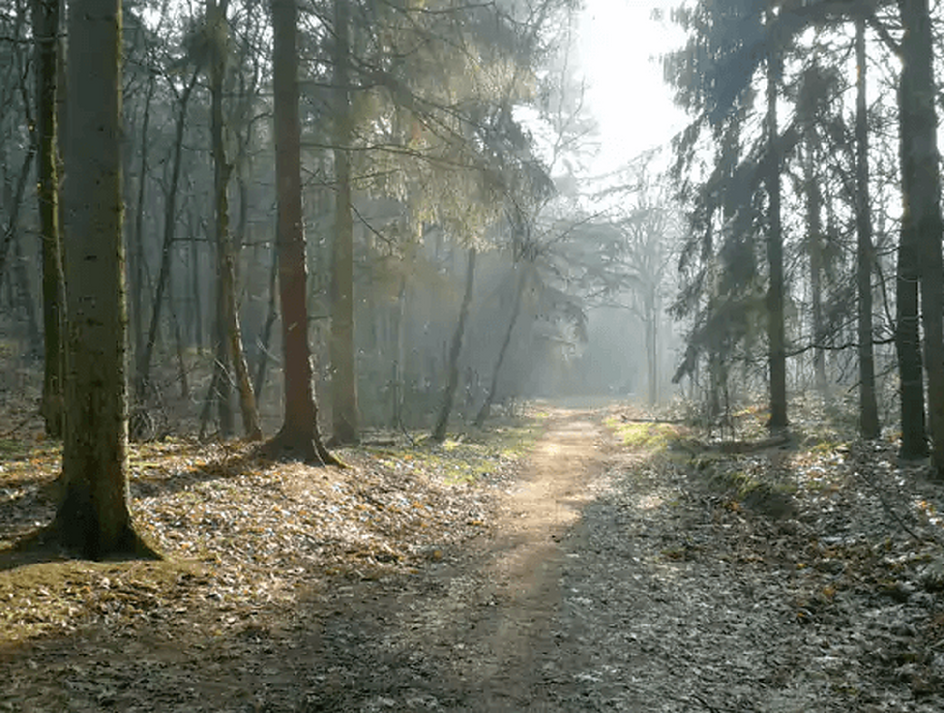 Wandelroute: Plasmolen - Mookerheide - Herrendal