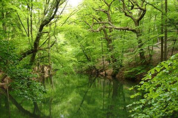 Wandelroute: Plasmolen - Sint-Jansberg - Klein Amerika
