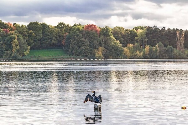 Wandelroute: Rondje Mookerplas