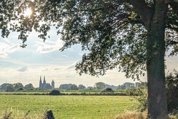 Wandelroute: Maasheggen