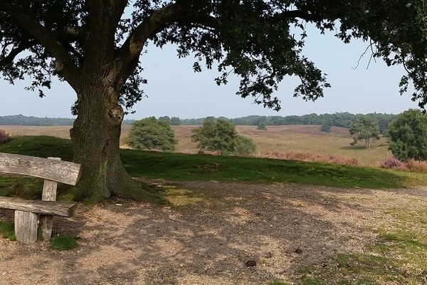 Wandelroute: Slag op de Mookerheide route