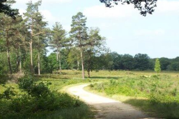 Wandelroute: Wandelen óp en óver het randje Mook en Middelaar