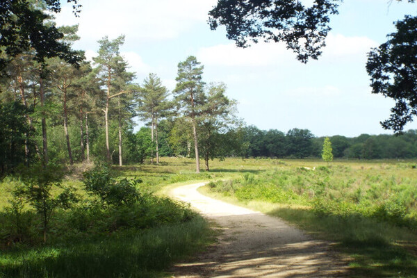 Wandelroute: Wandelen óp en óver het randje Mook en Middelaar