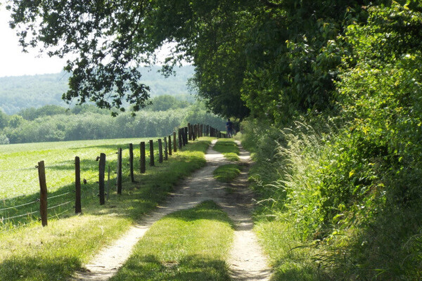 Wandelroute: Wandelen óp en óver het randje Mook en Middelaar