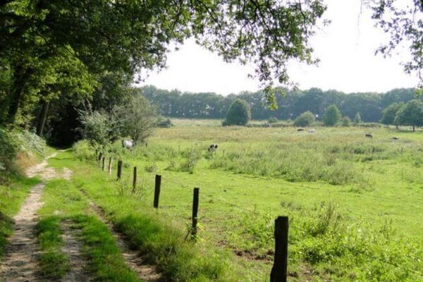 Wandelroute: Mooie plekjes route