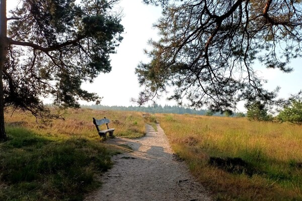 Wandelroute: De 3 schansen route 