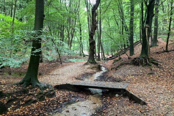Wandelroute: Mooiste plekjesroute de Biesselt & Plasmolen