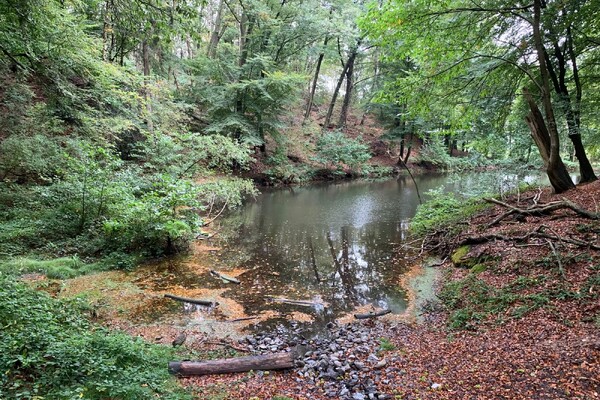 Wandelroute: Mooiste plekjesroute de Biesselt & Plasmolen