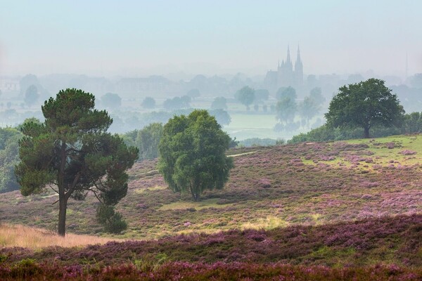 Wandelroute: De Bisselt