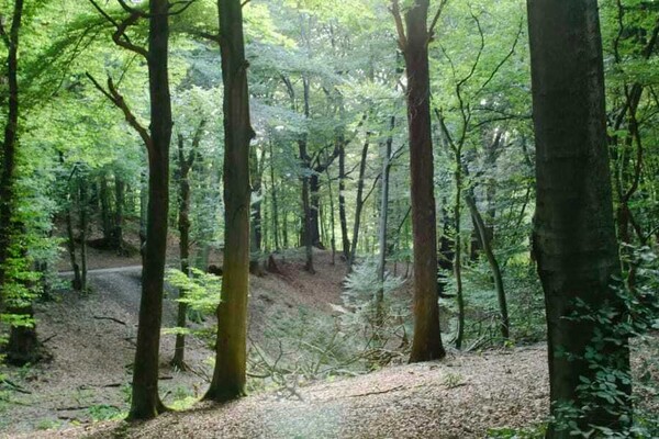 Wandelroute: Icoonlandschap de Sint-Jansberg