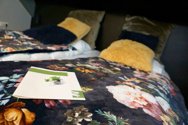 Hotelkamer Romantique