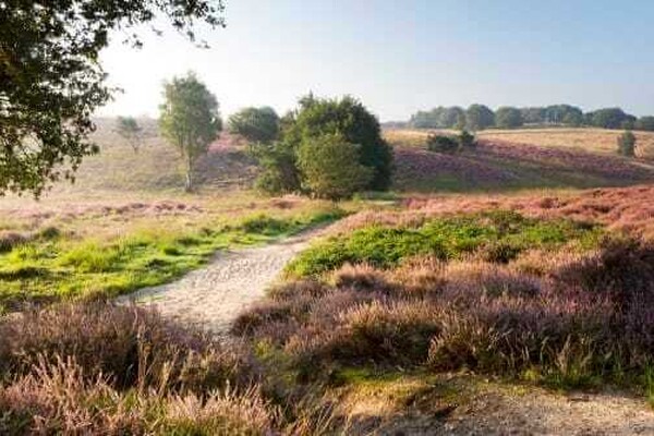 Wandelroute: Slag op de Mookerheide route