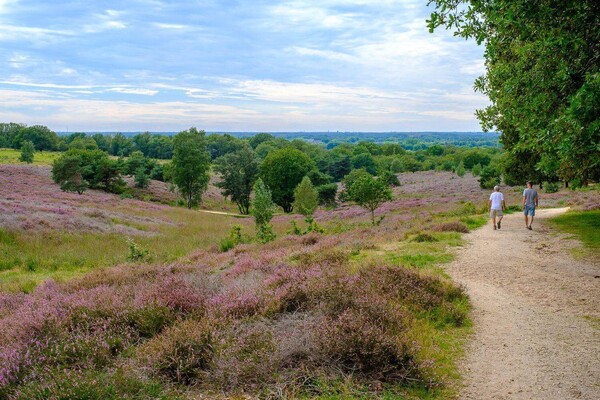 Wandelroute: Mooie plekjes route