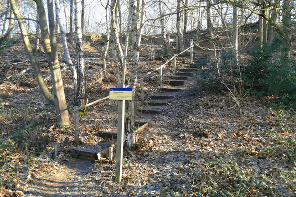 Wandelroute: Rond jachtslot de Mookerheide