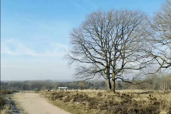 Wandelroute: Jachtslot & Mookerschans
