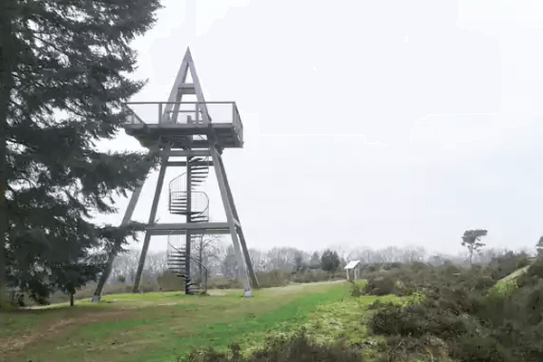 Wandelroute: Rond jachtslot de Mookerheide