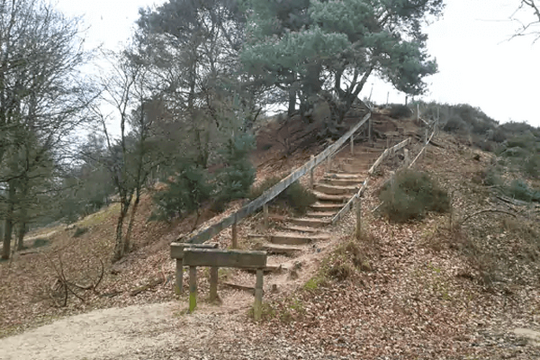Wandelroute: Jachtslot & Mookerschans