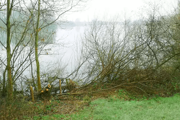 Wandelroute: Plasmolen - Mookerheide - Herrendal
