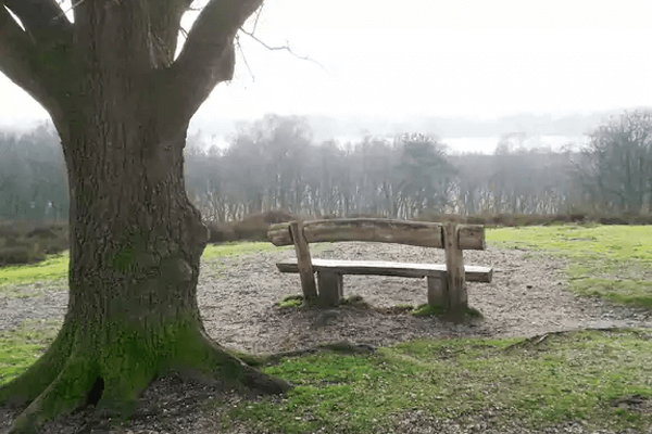 Wandelroute: Plasmolen - Mookerheide - Herrendal