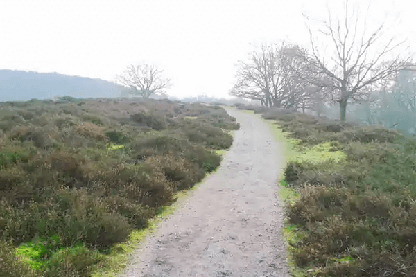 Wandelroute: Plasmolen - Mookerheide - Herrendal