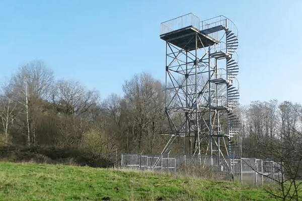 Wandelroute: Plasmolen - Mookerheide - Herrendal