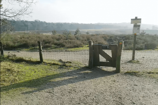 Wandelroute: Plasmolen - Mookerheide - Herrendal
