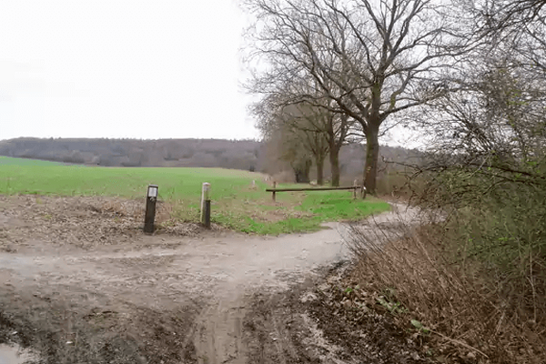 Wandelroute: Plasmolen - Sint-Jansberg - Klein Amerika