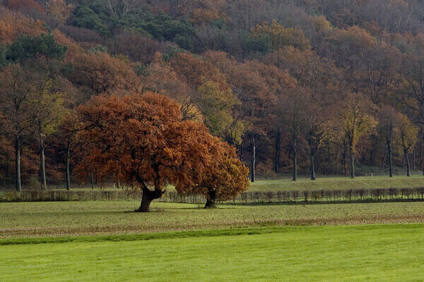 Wandelroute: Icoonlandschap de Sint-Jansberg