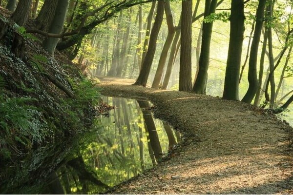 Wandelroute: De Bisselt
