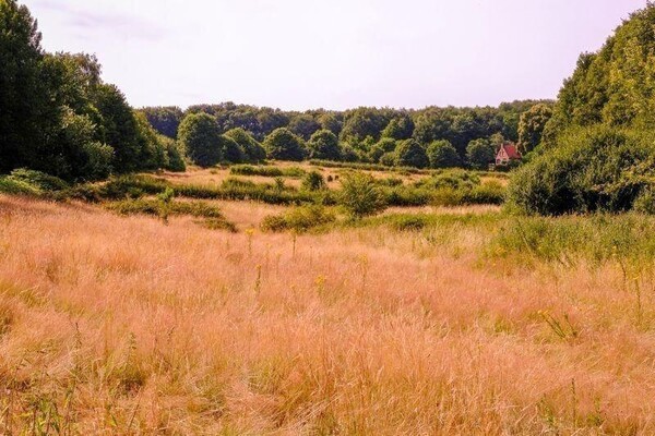 Wandelroute: Mooie plekjes route