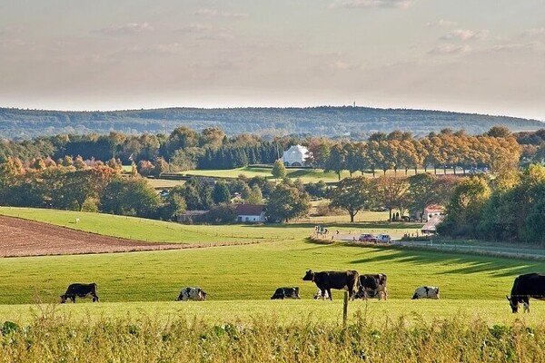 Fietsroute: Over heuvels en dalen